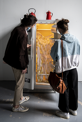 photo de l'installation chiconnade